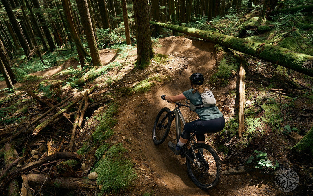 North harbour mountain bike trail online