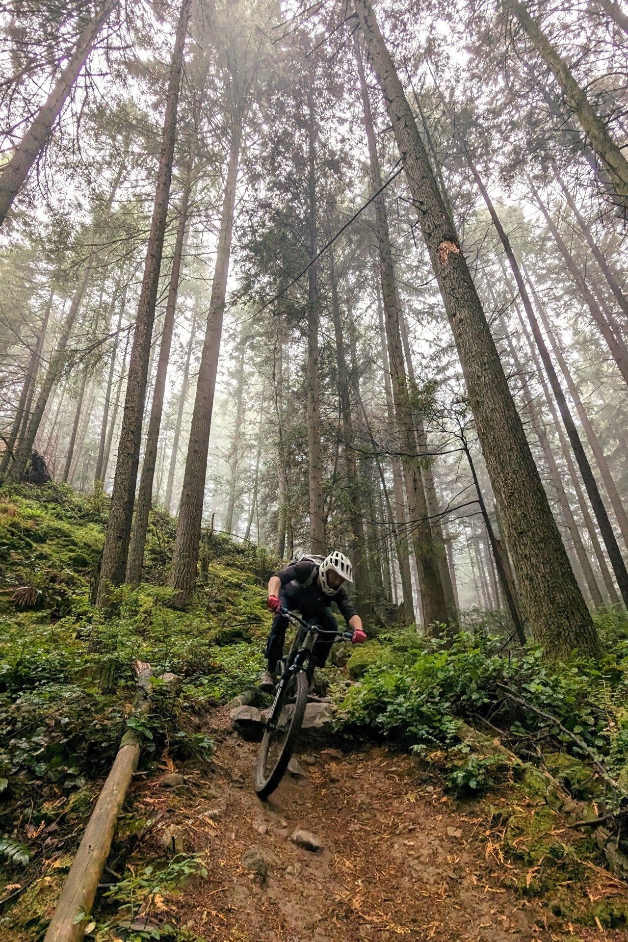 Funcake mountain bike nevlers trail